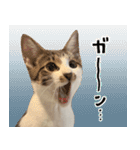 うずめの毎日（個別スタンプ：19）