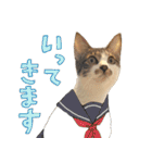 うずめの毎日（個別スタンプ：20）