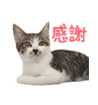 うずめの毎日（個別スタンプ：21）