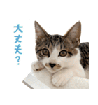 うずめの毎日（個別スタンプ：32）