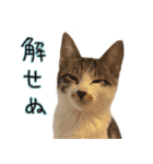 うずめの毎日（個別スタンプ：35）