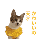うずめの毎日（個別スタンプ：37）