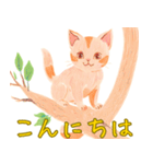 優しいタッチで描かれた子猫のスタンプ（個別スタンプ：1）