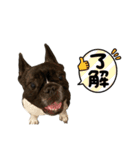 ViViの1日 第2弾！（個別スタンプ：15）