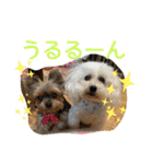 ひなたちゃんスタンプ第6弾（個別スタンプ：5）