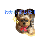 ひなたちゃんスタンプ第6弾（個別スタンプ：9）