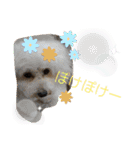 ひなたちゃんスタンプ第6弾（個別スタンプ：13）