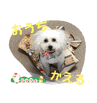 ひなたちゃんスタンプ第6弾（個別スタンプ：14）