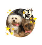 ひなたちゃんスタンプ第6弾（個別スタンプ：20）