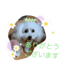 ひなたちゃんスタンプ第6弾（個別スタンプ：26）