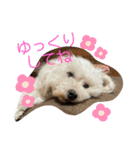 ひなたちゃんスタンプ第6弾（個別スタンプ：29）