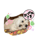 ひなたちゃんスタンプ第6弾（個別スタンプ：31）