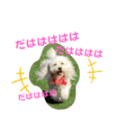 ひなたちゃんスタンプ第6弾（個別スタンプ：34）