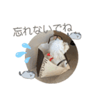 ひなたちゃんスタンプ第6弾（個別スタンプ：37）