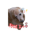 シェリー☆いっこめっ（個別スタンプ：9）
