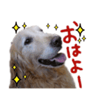 シェリー☆いっこめっ（個別スタンプ：10）