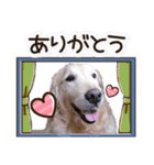 シェリー☆いっこめっ（個別スタンプ：23）