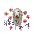 シェリー☆いっこめっ（個別スタンプ：33）