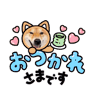 柴犬今日のはち君 可愛いはちを集めたよ（個別スタンプ：7）