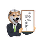 柴犬今日のはち君 可愛いはちを集めたよ（個別スタンプ：25）