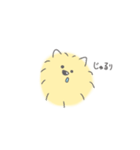 ポメラニアンのまろさま（個別スタンプ：13）