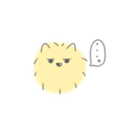 ポメラニアンのまろさま（個別スタンプ：16）