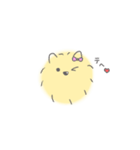 ポメラニアンのまろさま（個別スタンプ：17）