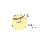 ポメラニアンのまろさま（個別スタンプ：21）