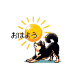 日常 ドット絵 柴犬 黒柴 40種 しばいぬ（個別スタンプ：2）