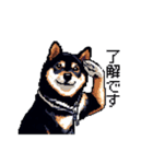 日常 ドット絵 柴犬 黒柴 40種 しばいぬ（個別スタンプ：6）