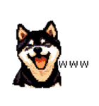 日常 ドット絵 柴犬 黒柴 40種 しばいぬ（個別スタンプ：7）