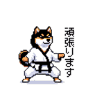 日常 ドット絵 柴犬 黒柴 40種 しばいぬ（個別スタンプ：11）