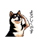 日常 ドット絵 柴犬 黒柴 40種 しばいぬ（個別スタンプ：15）