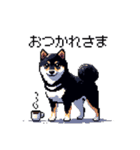 日常 ドット絵 柴犬 黒柴 40種 しばいぬ（個別スタンプ：16）