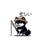 日常 ドット絵 柴犬 黒柴 40種 しばいぬ（個別スタンプ：21）