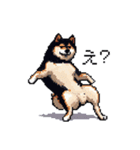 日常 ドット絵 柴犬 黒柴 40種 しばいぬ（個別スタンプ：22）