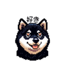 日常 ドット絵 柴犬 黒柴 40種 しばいぬ（個別スタンプ：23）