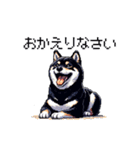 日常 ドット絵 柴犬 黒柴 40種 しばいぬ（個別スタンプ：34）