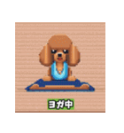 ドット絵プードル（個別スタンプ：5）