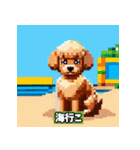 ドット絵プードル（個別スタンプ：16）