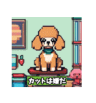 ドット絵プードル（個別スタンプ：17）