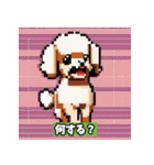 ドット絵プードル（個別スタンプ：19）