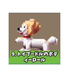 ドット絵プードル（個別スタンプ：33）