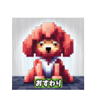 ドット絵プードル（個別スタンプ：35）