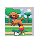 ドット絵プードル（個別スタンプ：36）