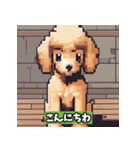 ドット絵プードル（個別スタンプ：40）