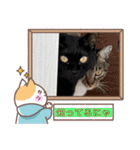 うちの子4にゃんスタンプ日常（個別スタンプ：8）