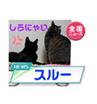 うちの子4にゃんスタンプ日常（個別スタンプ：12）