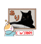うちの子4にゃんスタンプ日常（個別スタンプ：13）