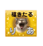 うちの子4にゃんスタンプ日常（個別スタンプ：23）